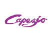 (image for) Capezio